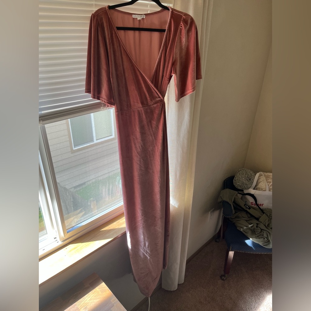 Baltic Born arose pink velvet full length dress
